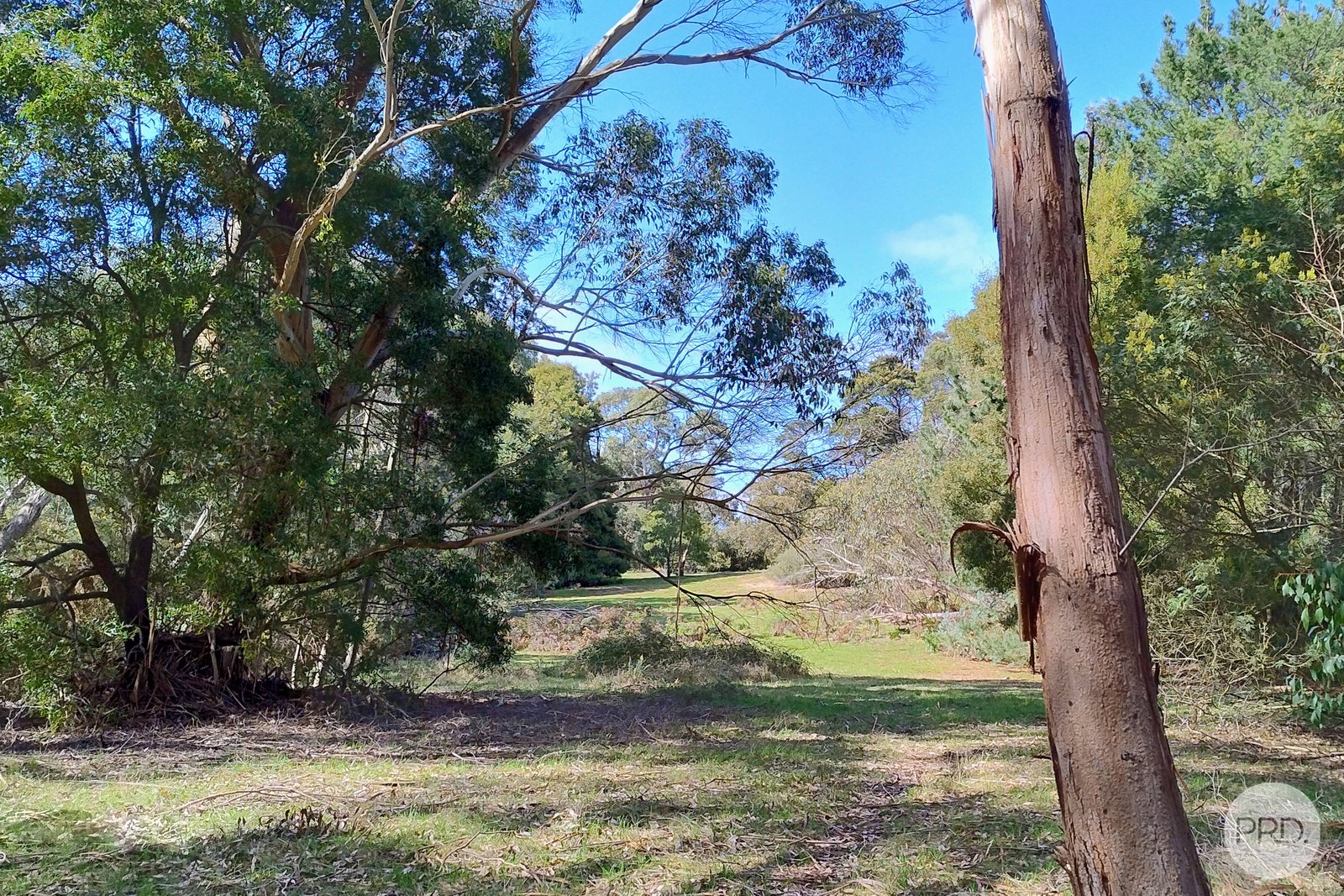 Lot 20 Tantaus Road DEREEL 8