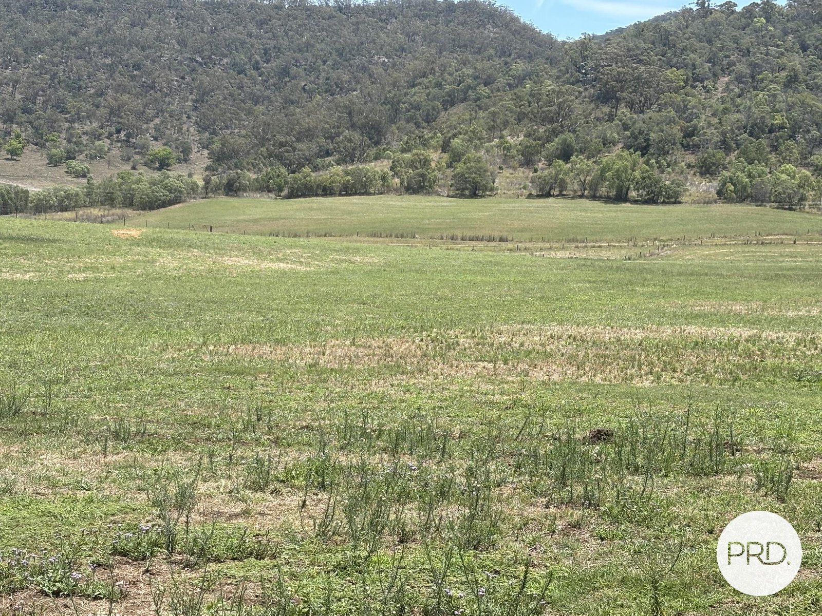 Lot 20/2181 Martindale Road, Martindale  DENMAN 21