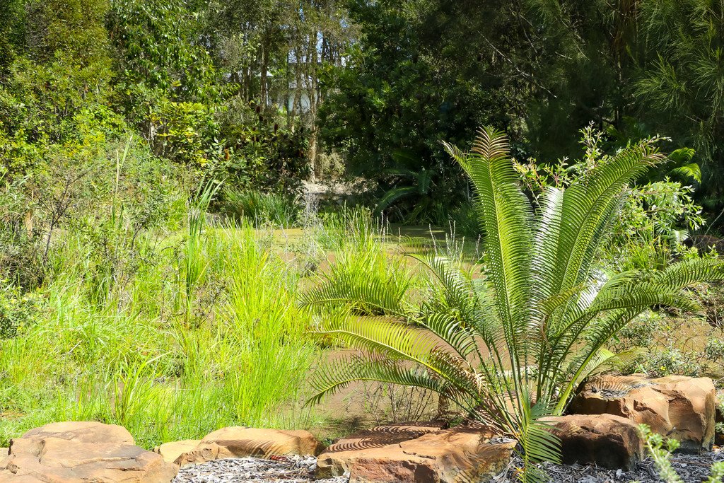 Lot 209 Bay Park Road WONDUNNA 9