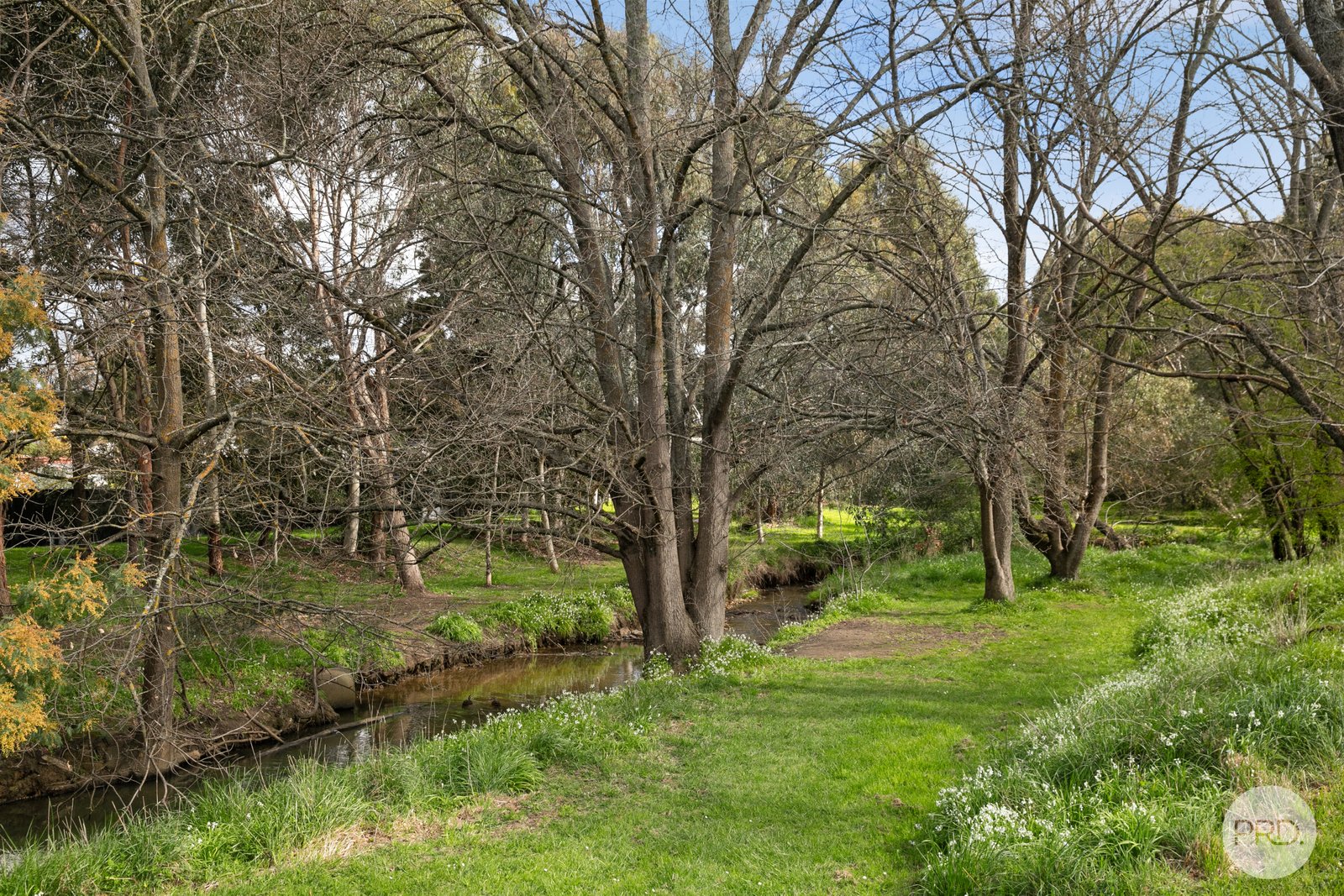 Lot 2/1 Esmond Street BLACK HILL 10