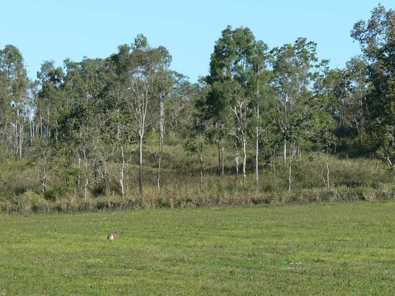 Lot 21 Gregory Cannon Valley Road STRATHDICKIE 2