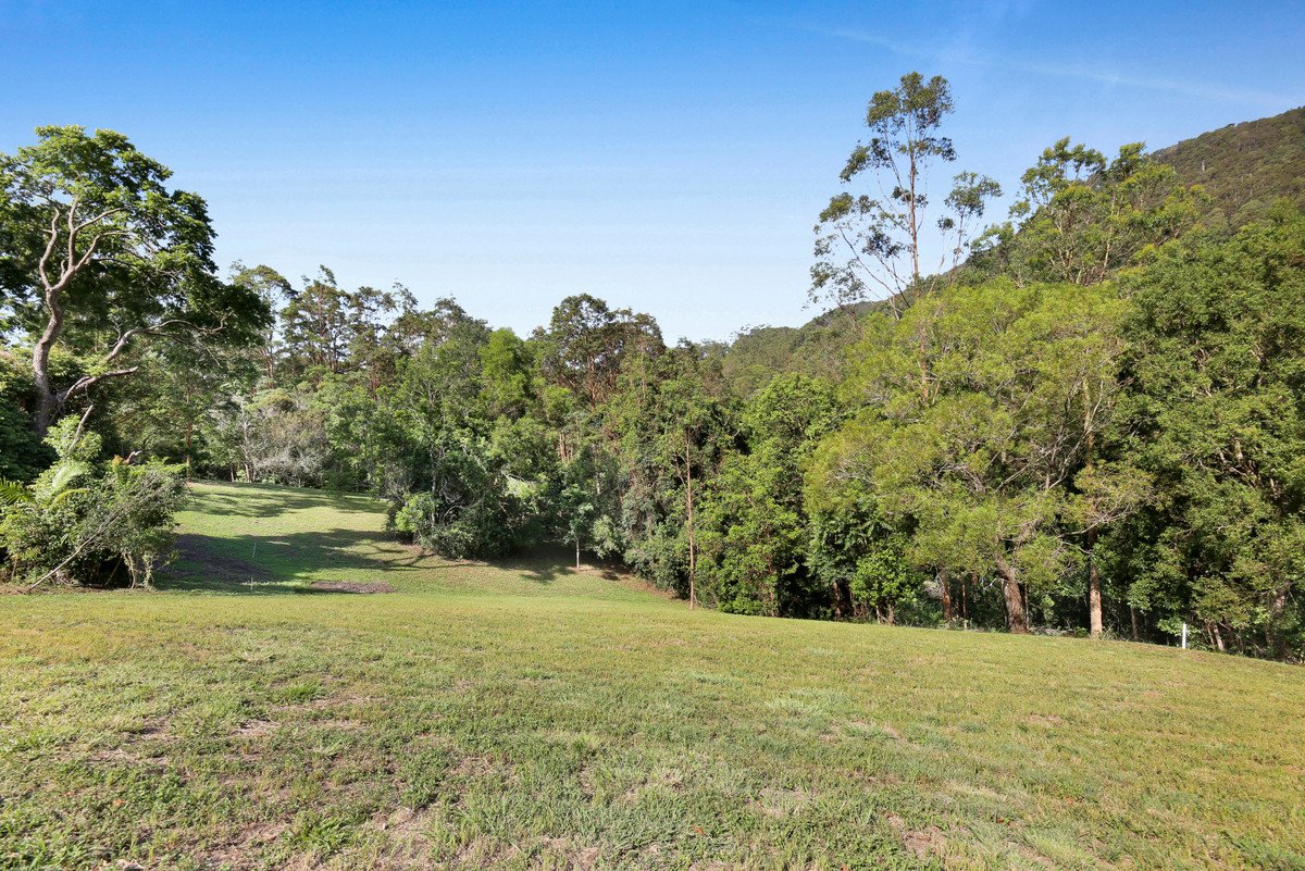  Petsch Creek Road Tallebudgera Valley 3