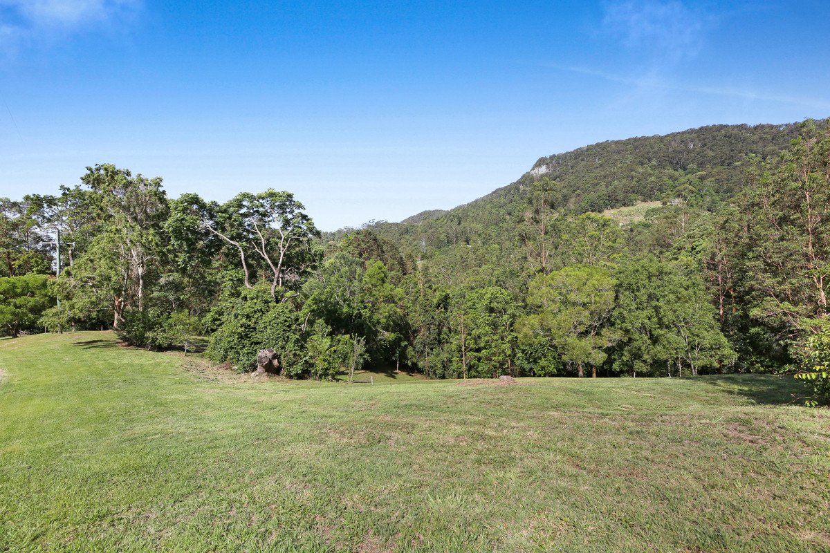  Petsch Creek Road Tallebudgera Valley 5