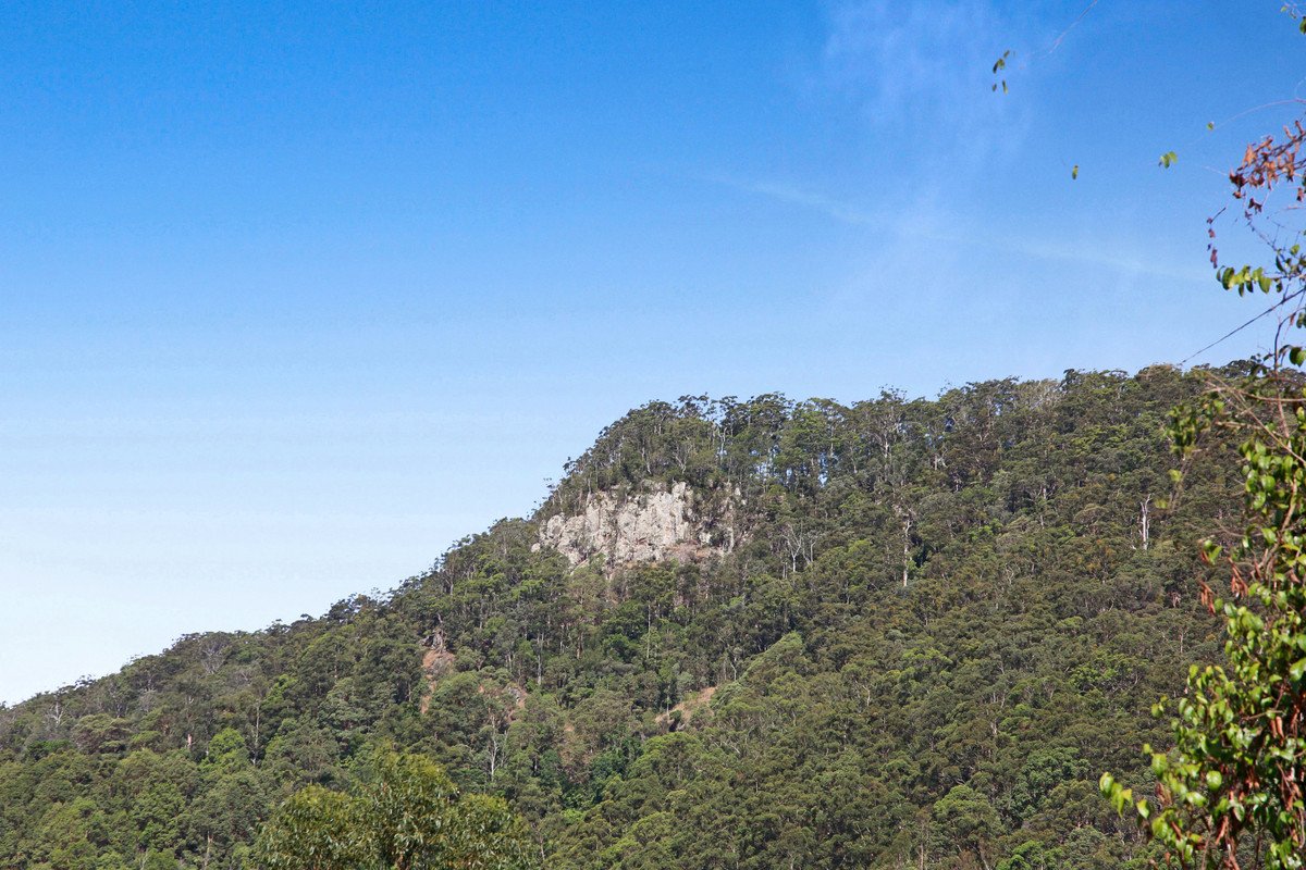  Petsch Creek Road Tallebudgera Valley 6