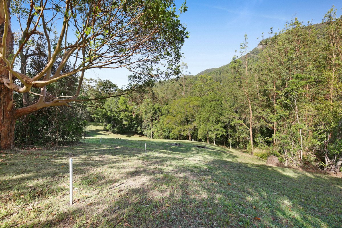  Petsch Creek Road Tallebudgera Valley 8