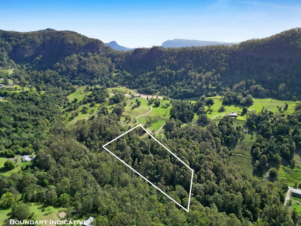  Petsch Creek Road Tallebudgera Valley 13