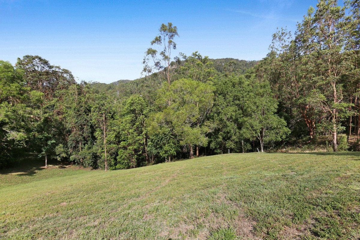  Petsch Creek Road Tallebudgera Valley 14