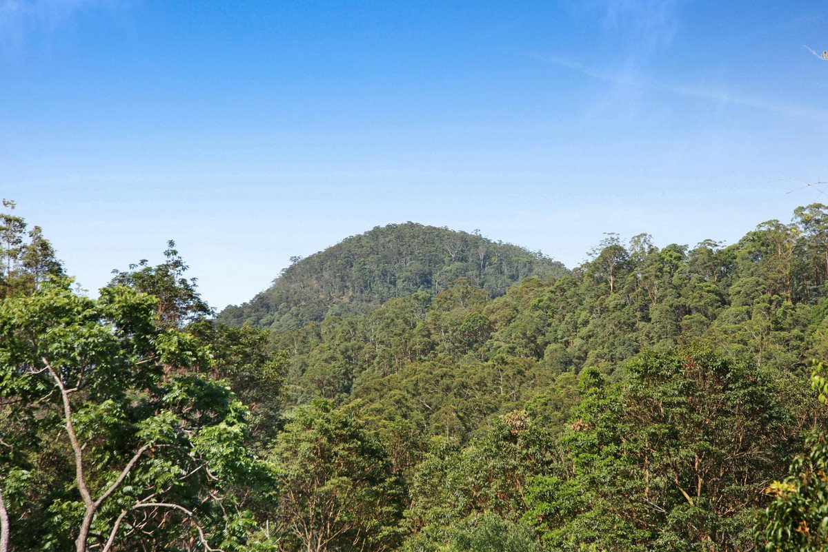  Petsch Creek Road Tallebudgera Valley 15