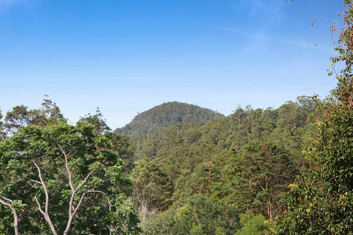  Petsch Creek Road Tallebudgera Valley 16