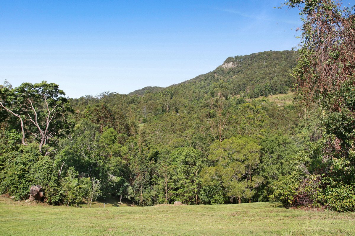  Petsch Creek Road Tallebudgera Valley 17