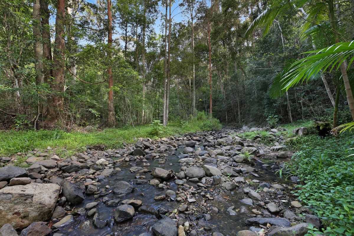  Petsch Creek Road Tallebudgera Valley 18