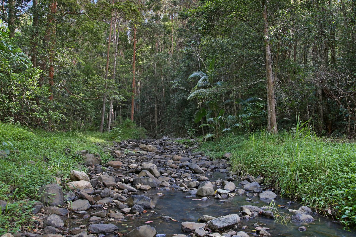  Petsch Creek Road Tallebudgera Valley 19