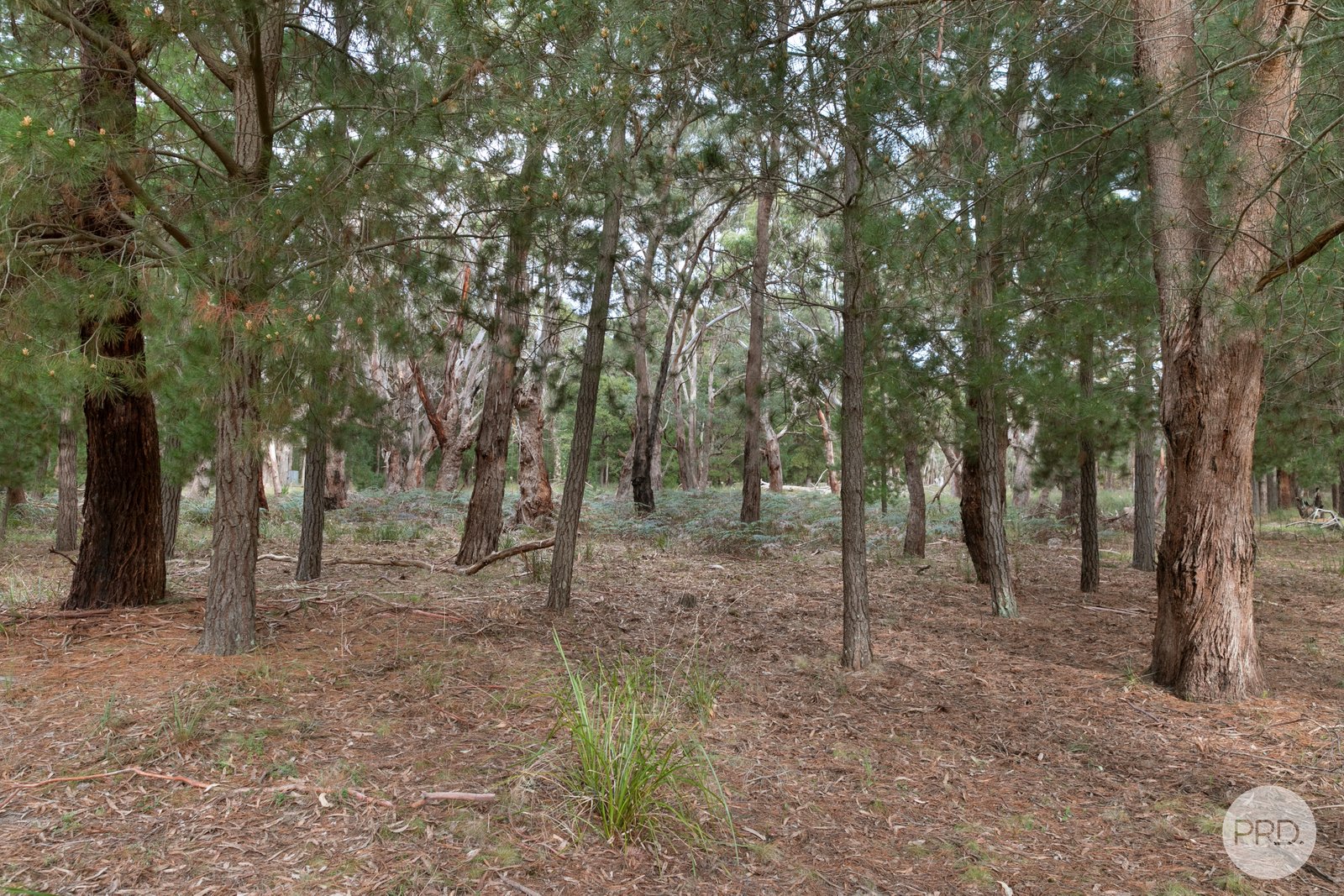 Lot 22 Stones Road DEREEL 8