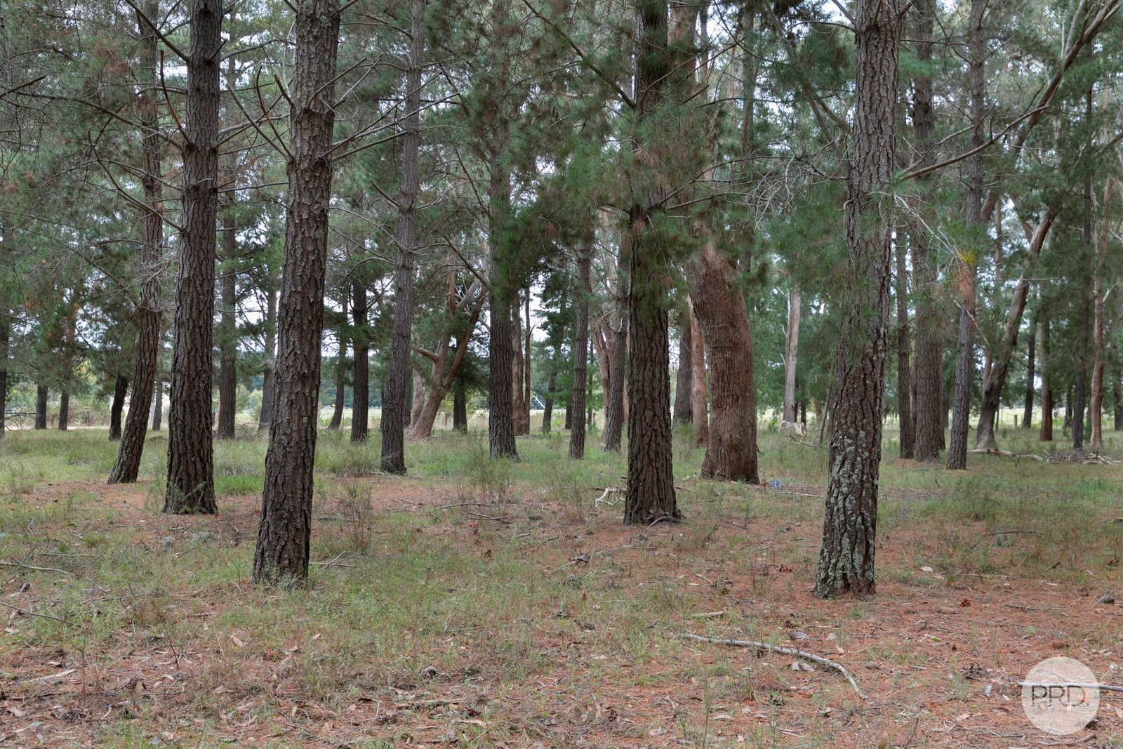 Lot 22 Stones Road DEREEL 11