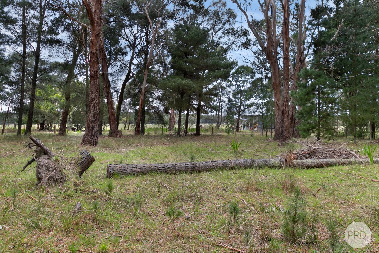 Lot 22 Stones Road DEREEL 13