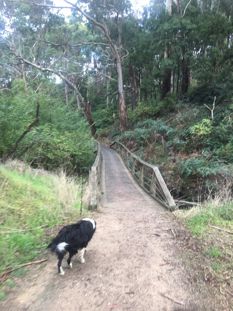 Lot 23 Springs Rise Estate, 5 Hillview Road BROWN HILL 3