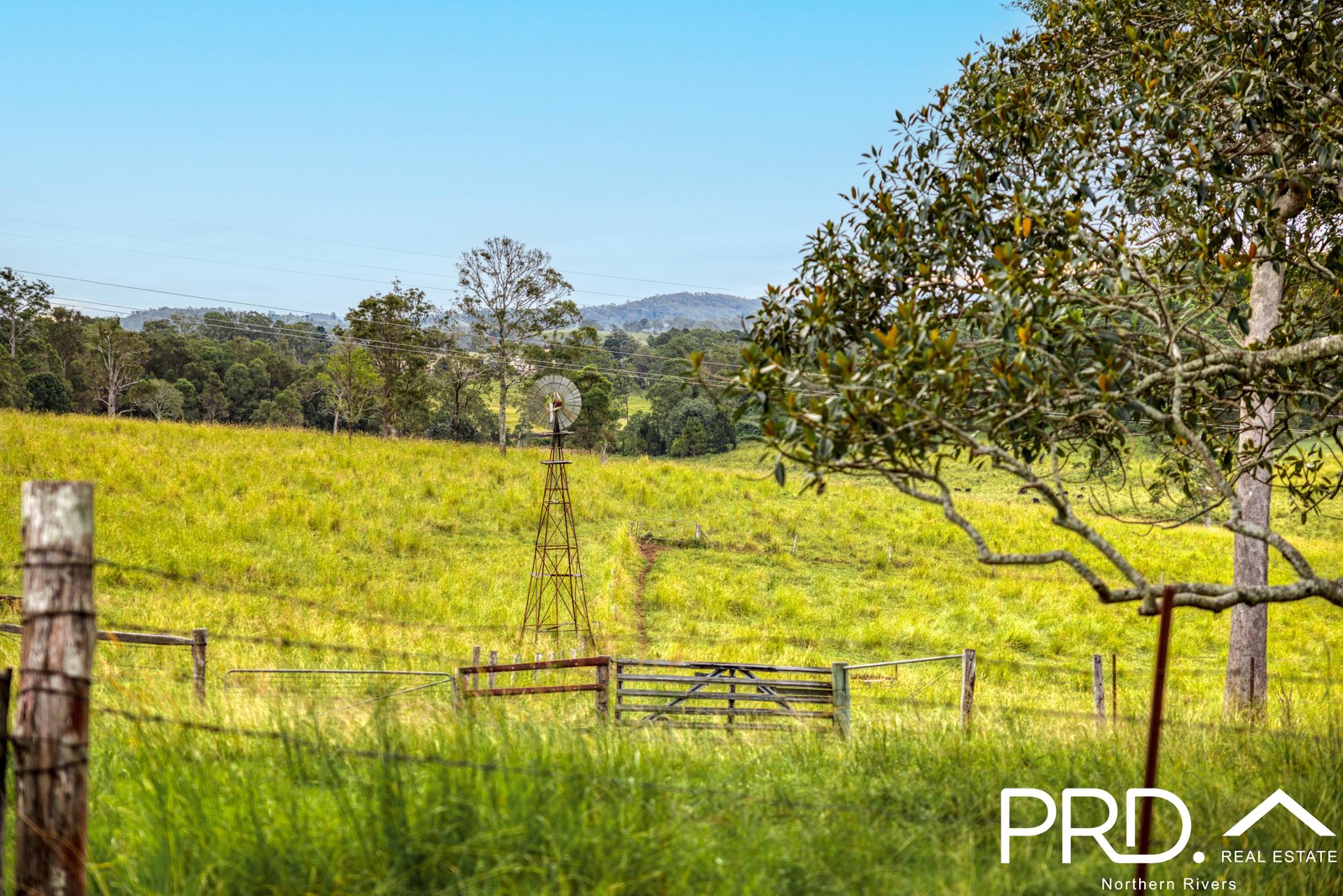 180 Runnymede Road KYOGLE 1