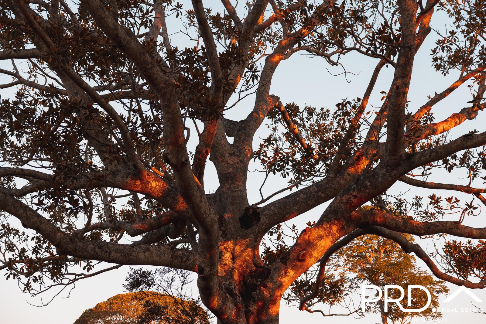 180 Runnymede Road KYOGLE 11