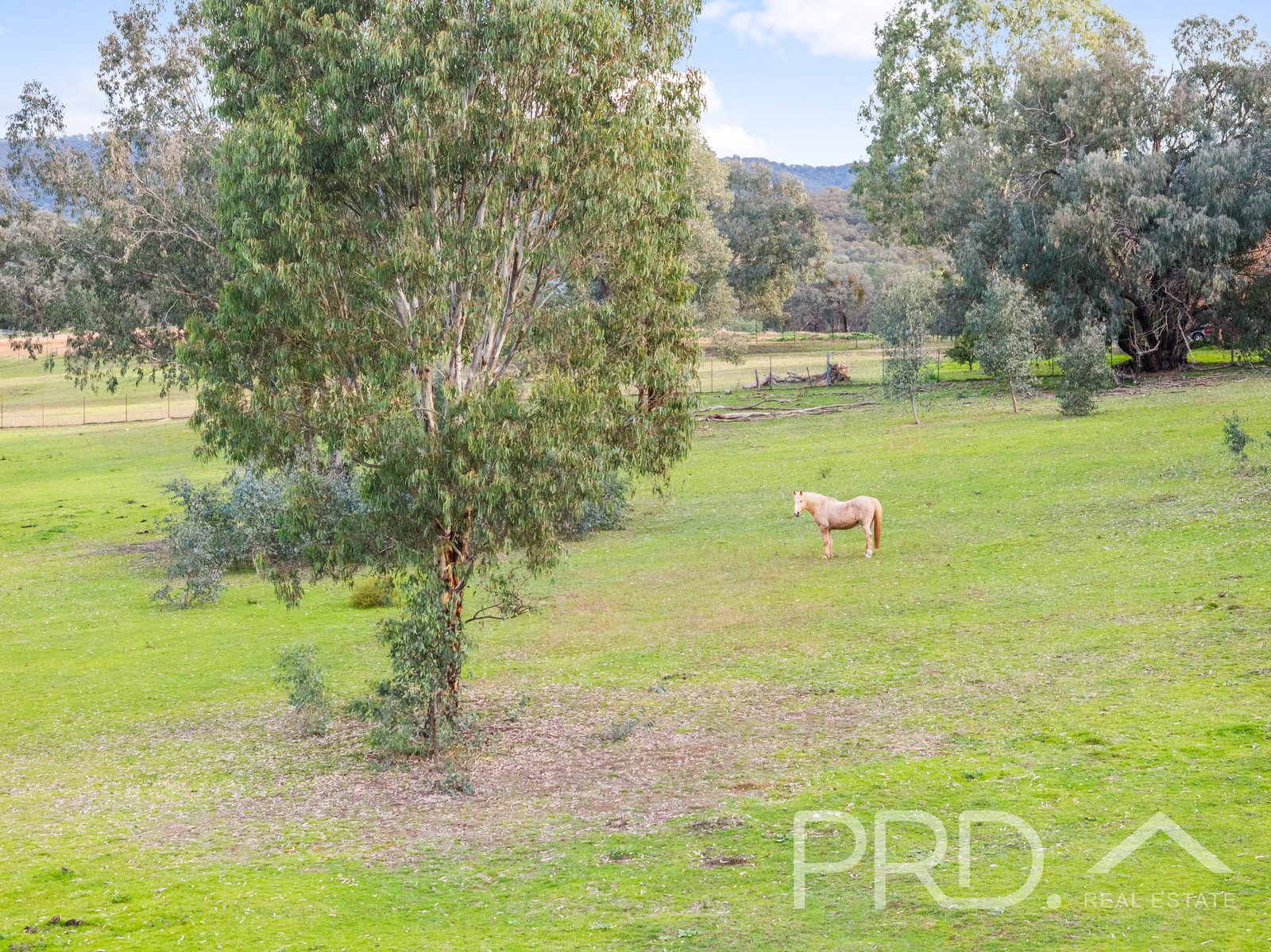 Lot 259 Simpson Street TUMUT 6