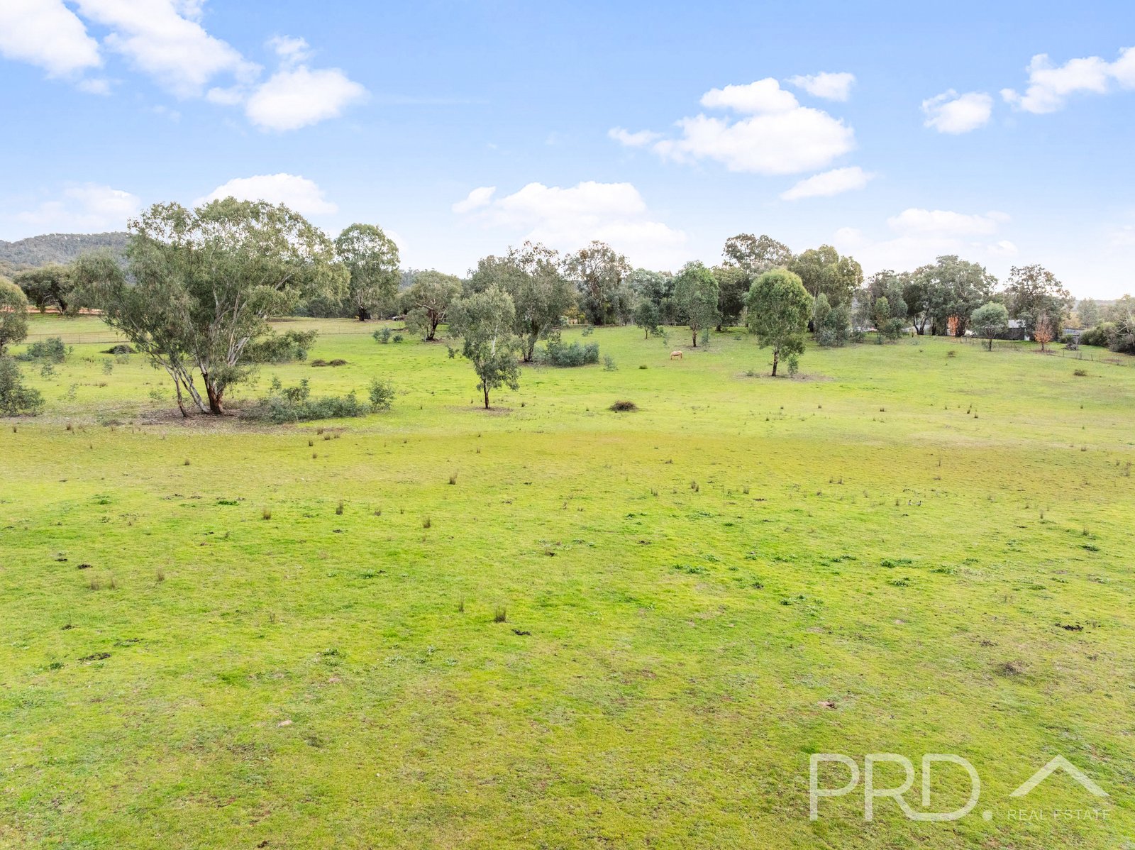 Lot 259 Simpson Street TUMUT 8