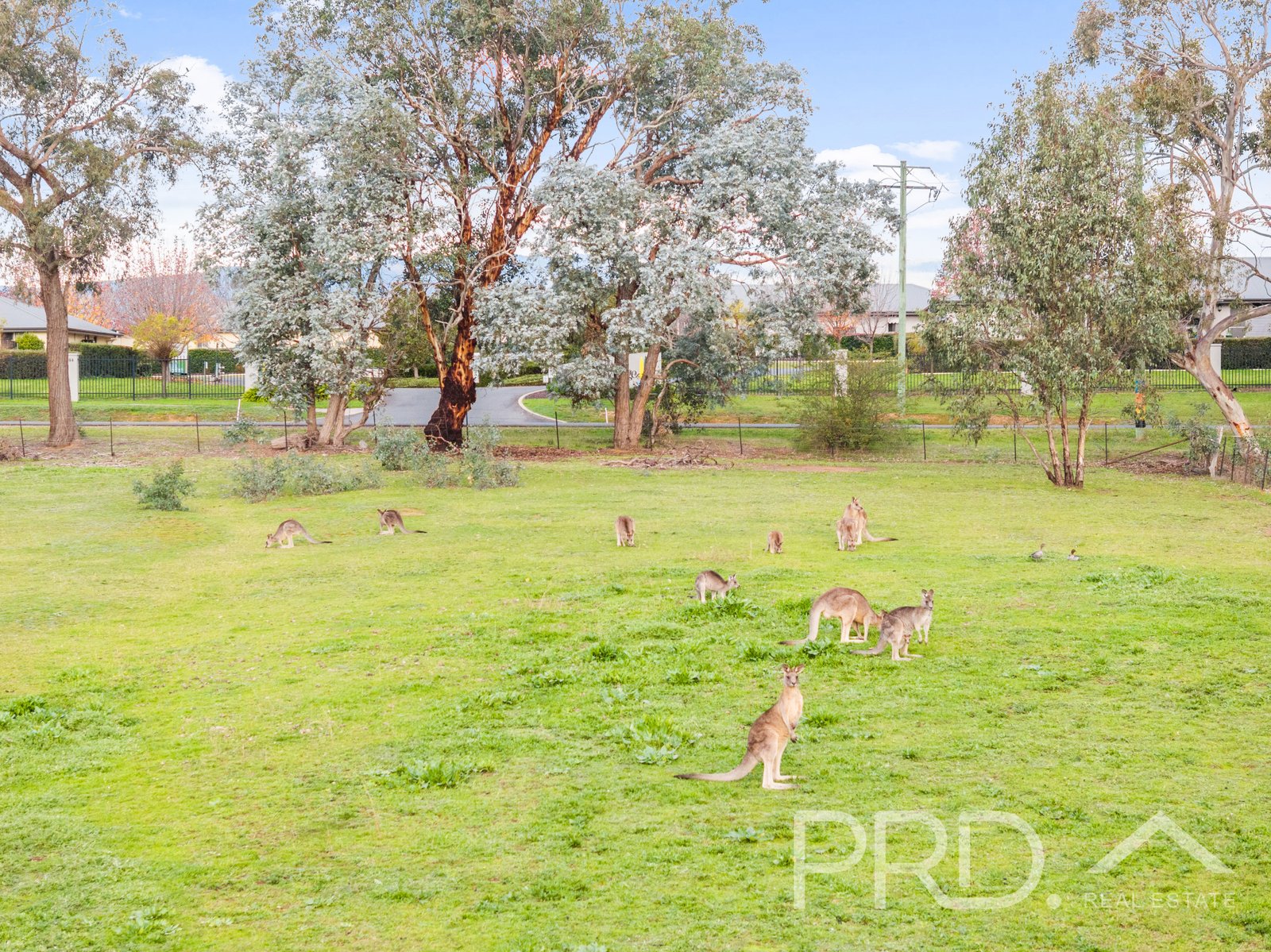 Lot 259 Simpson Street TUMUT 10