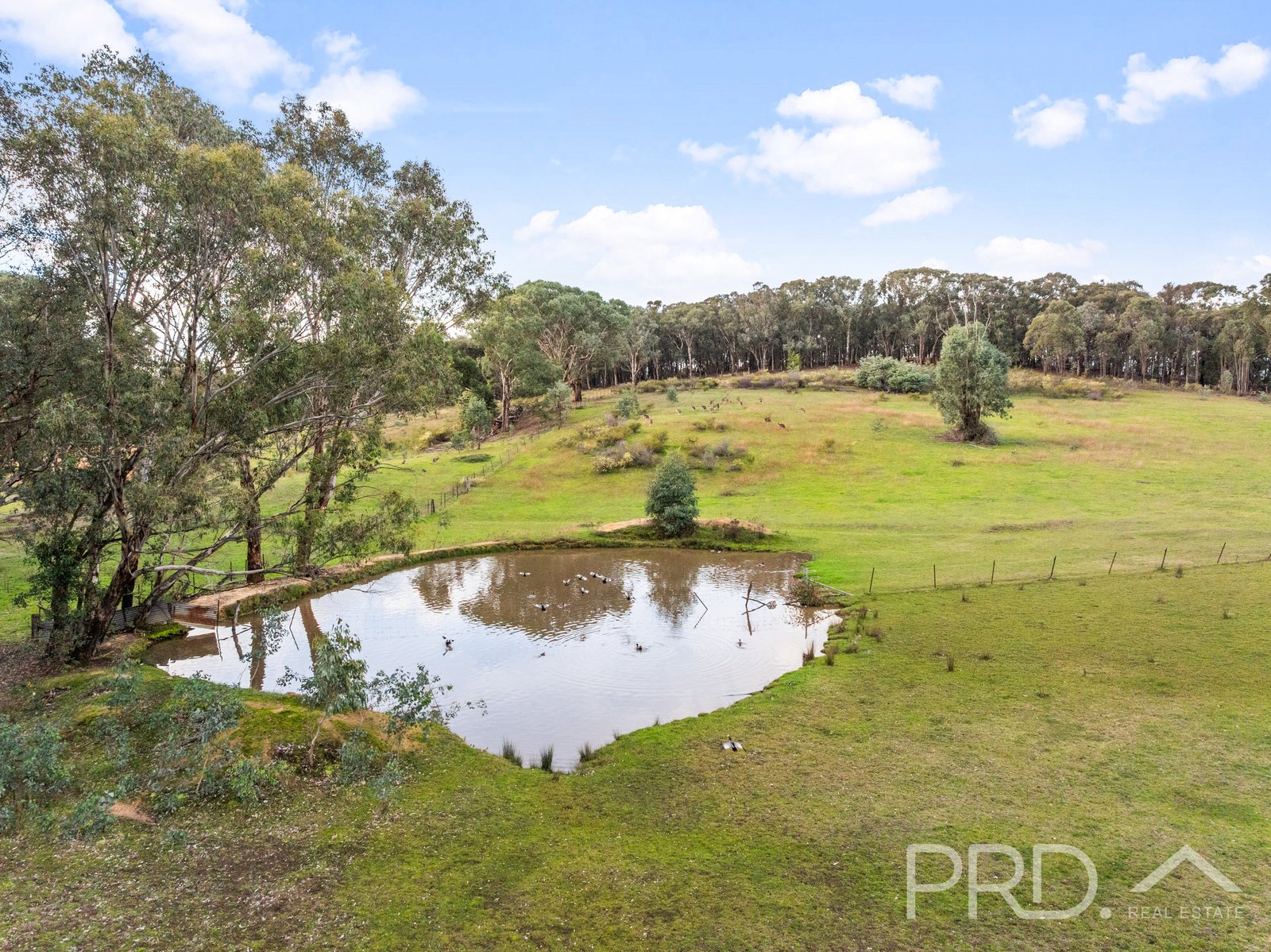 Lot 259 Simpson Street TUMUT 12