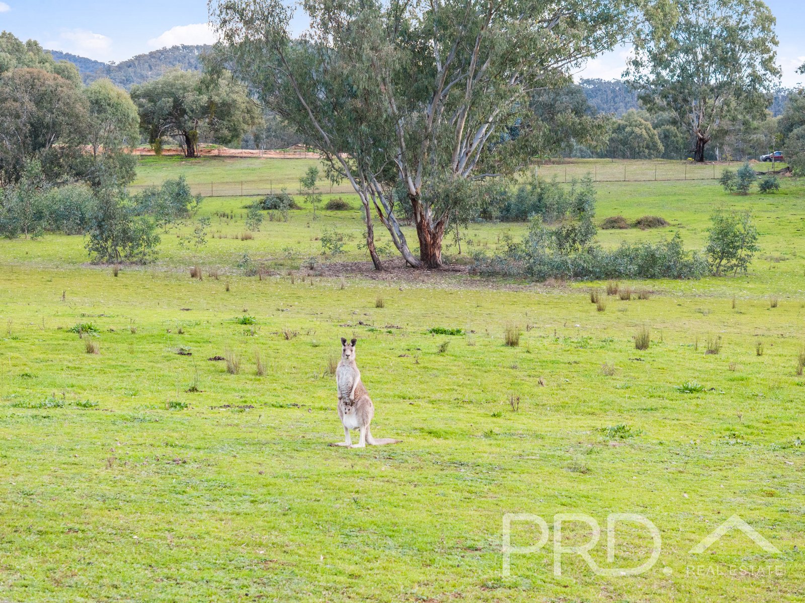 Lot 259 Simpson Street TUMUT 13