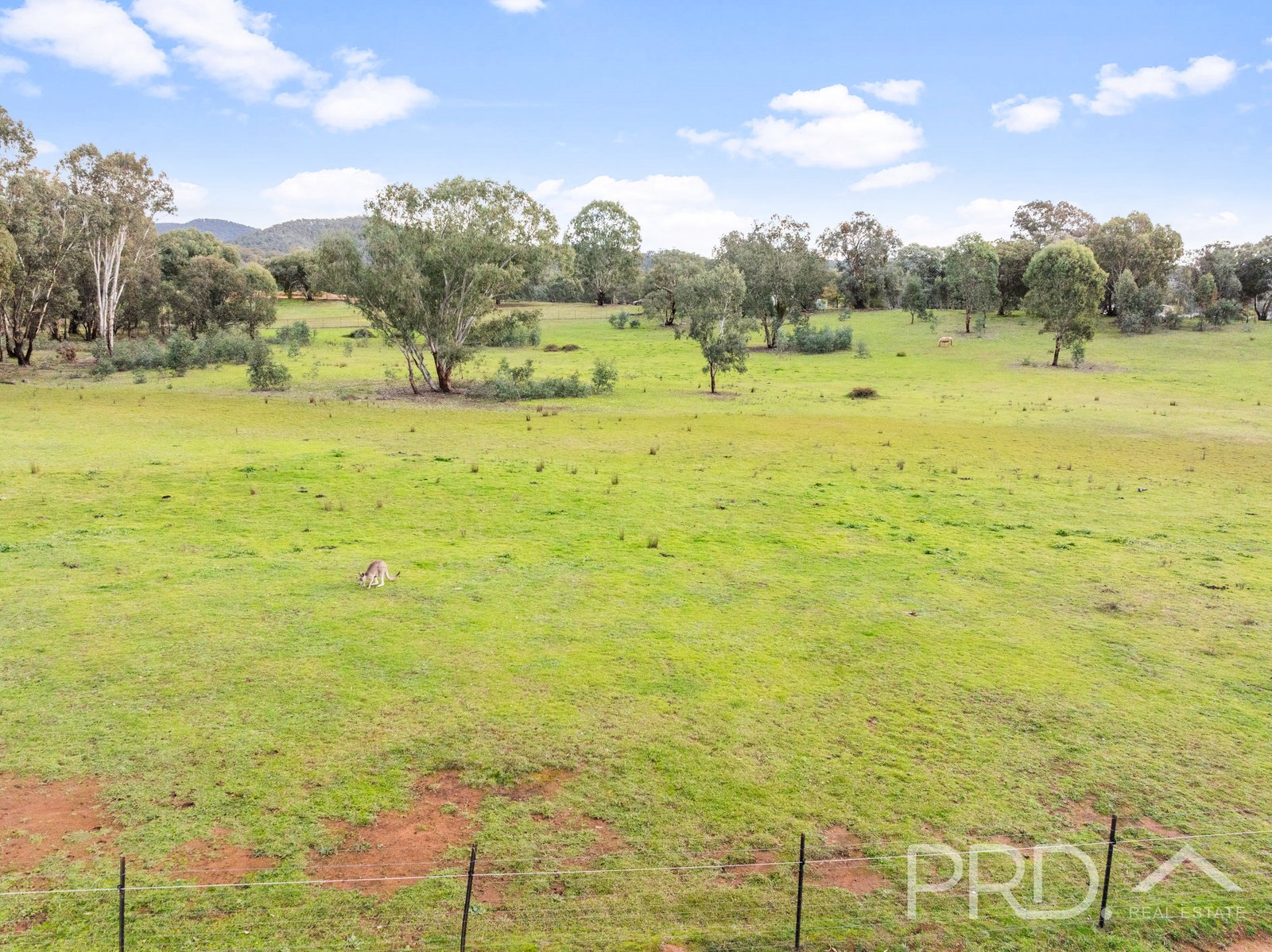 Lot 259 Simpson Street TUMUT 14