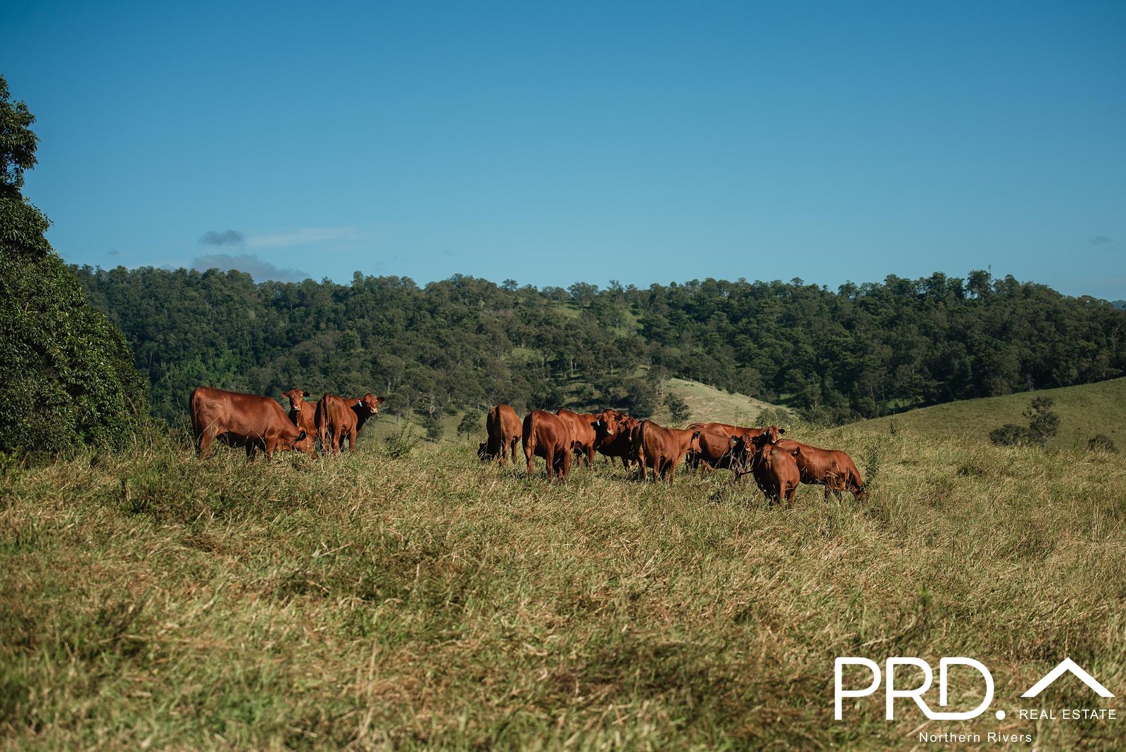 Lot 27, 46 Lynches Creek Road WIANGAREE 1