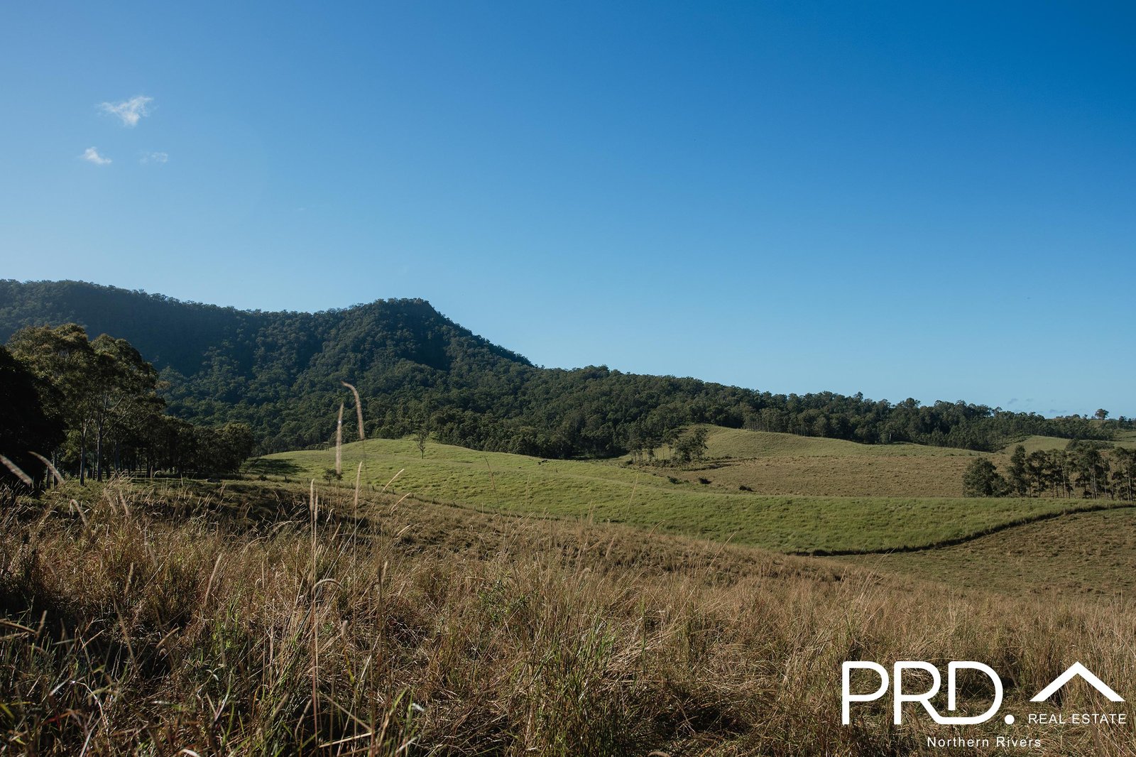 Lot 27, 46 Lynches Creek Road WIANGAREE 2