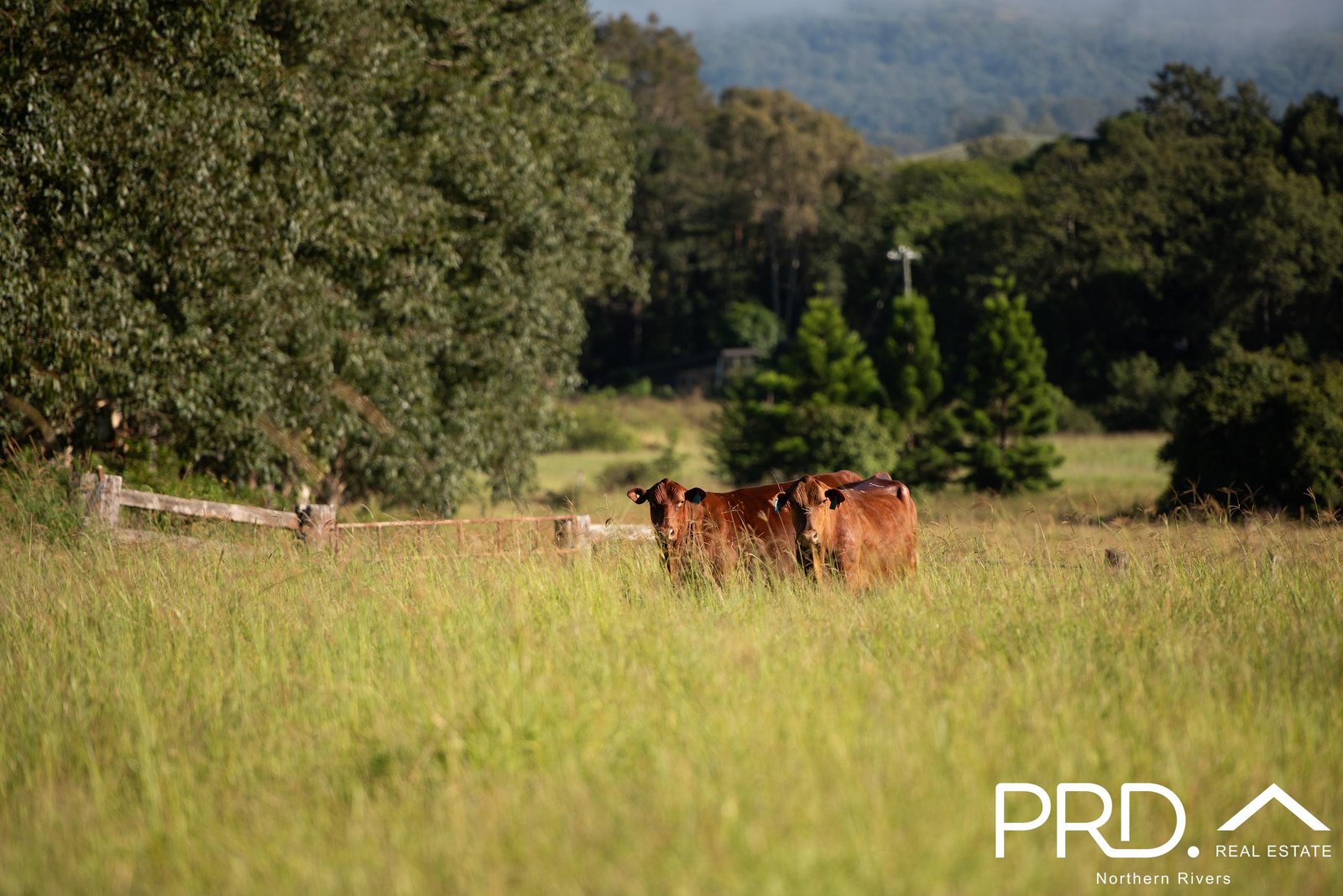 Lot 27, 46 Lynches Creek Road WIANGAREE 7