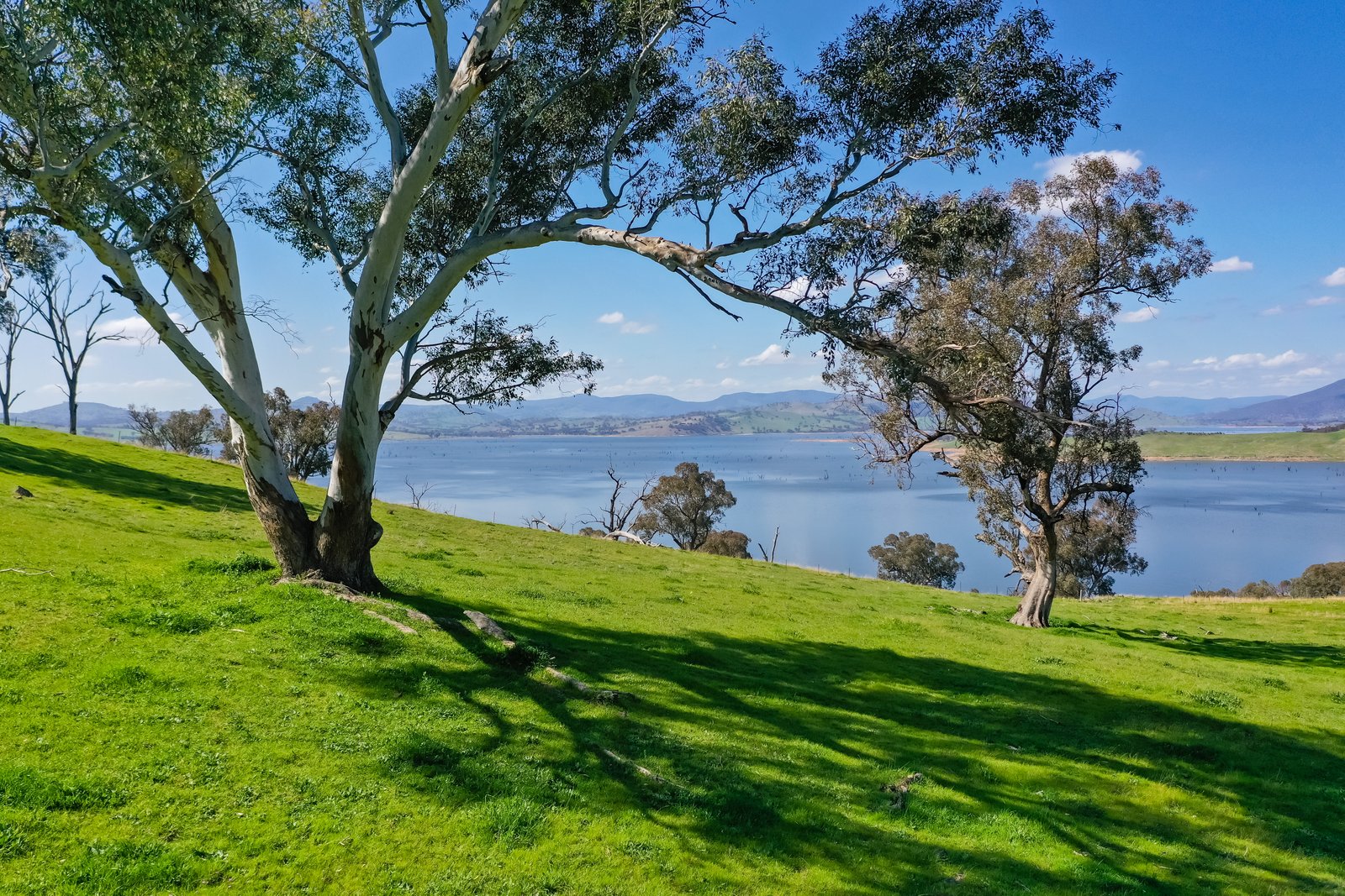 Lot 27 838 Kywanna Road WIRLINGA 4