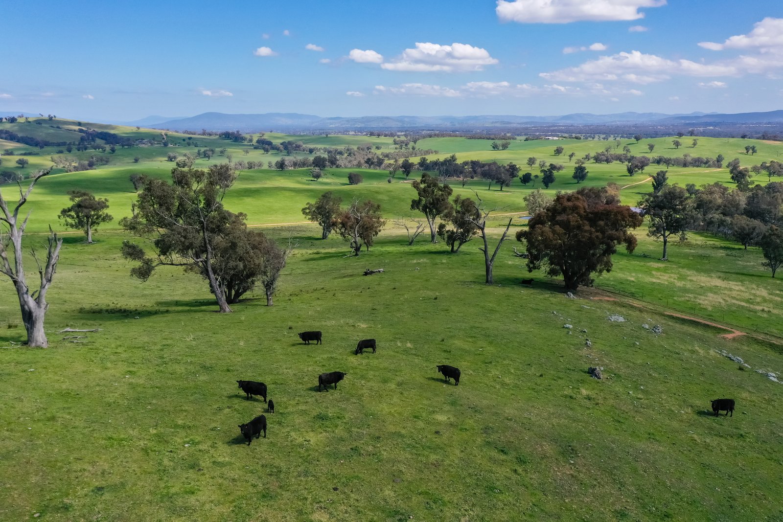 Lot 27 838 Kywanna Road WIRLINGA 5