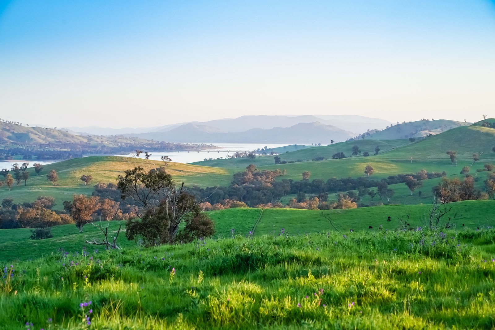 Lot 27 838 Kywanna Road WIRLINGA 12
