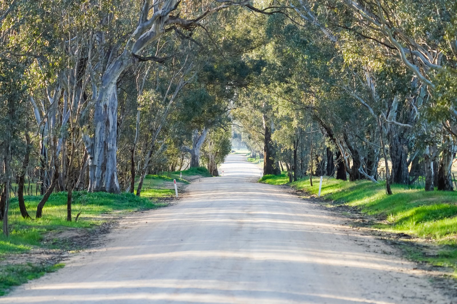 Lot 27 838 Kywanna Road WIRLINGA 14