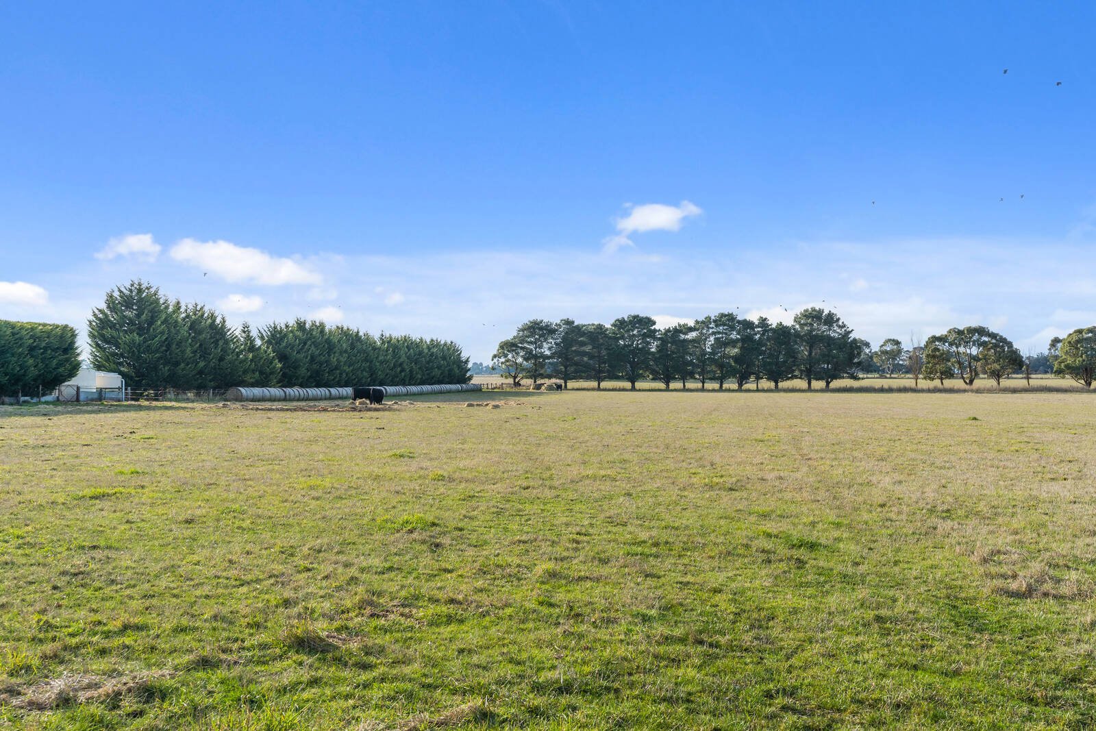 Real Estate and Property in Lot 278 Lauriston Road, Kyneton, VIC