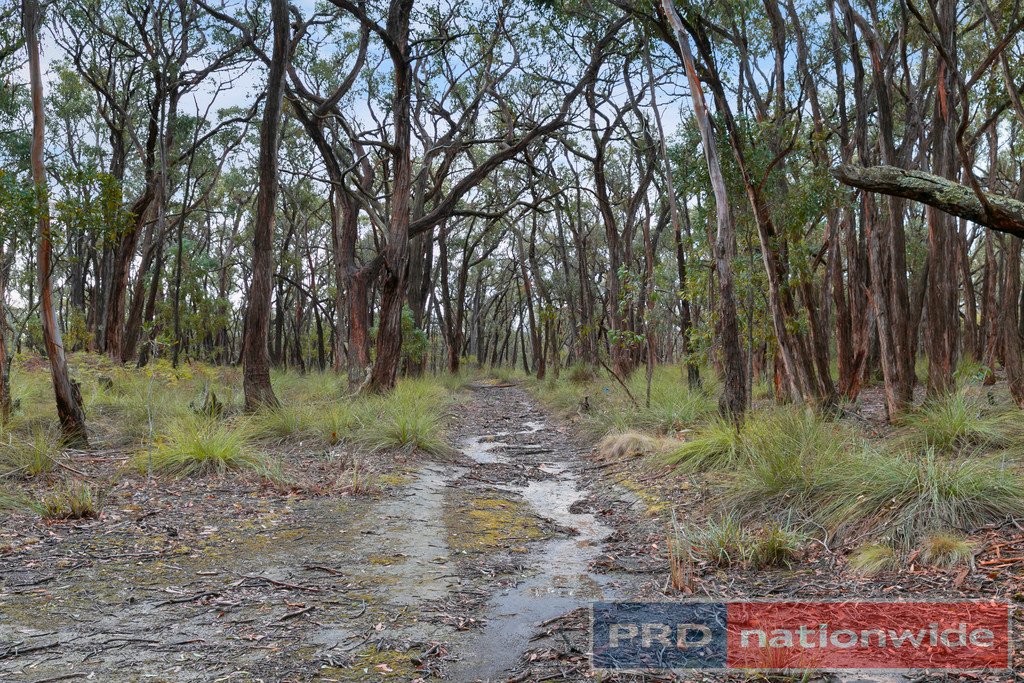 Lot 27A Basin Road SCARSDALE 2