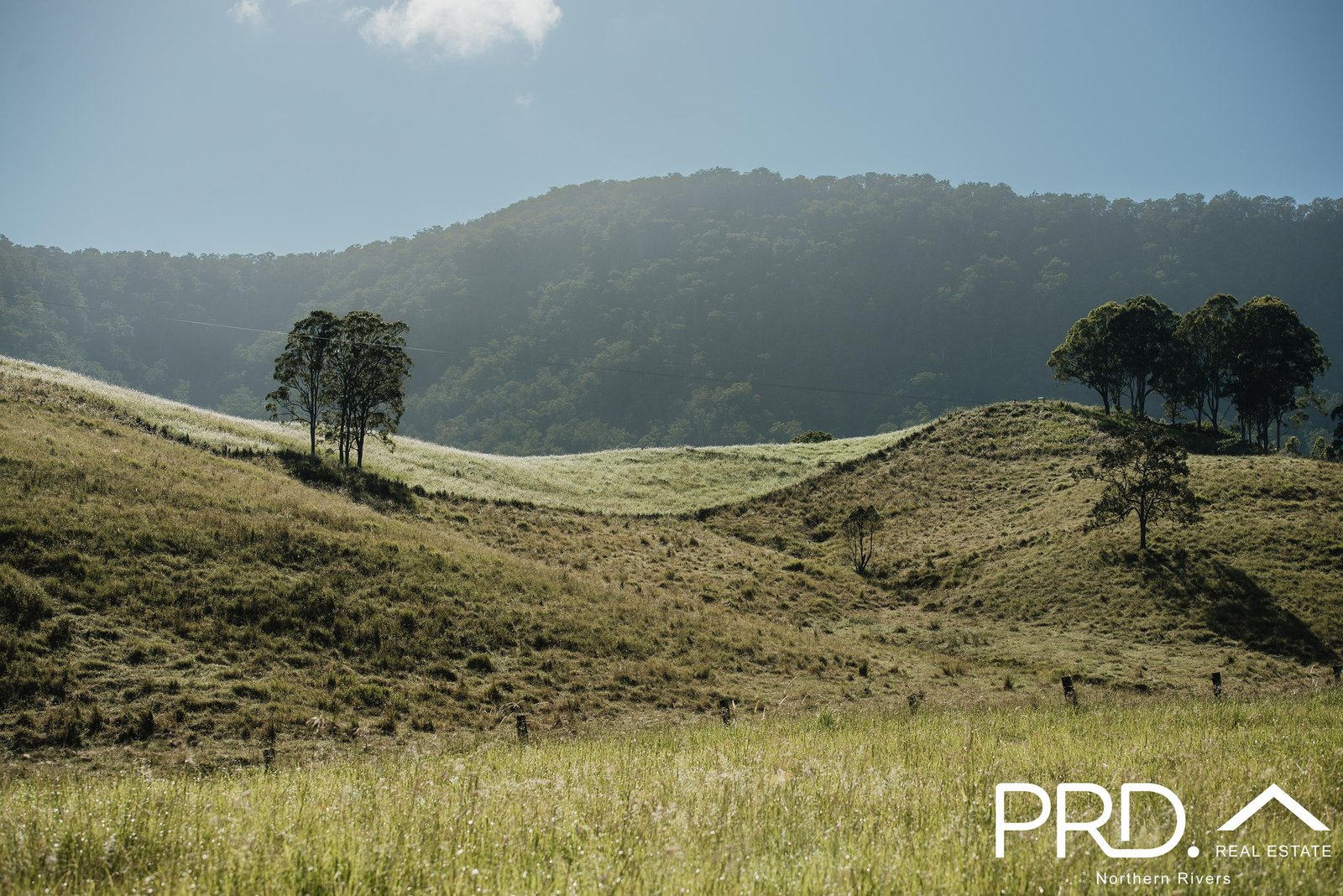 Lot 28, 46 Lynches Creek Road WIANGAREE 1