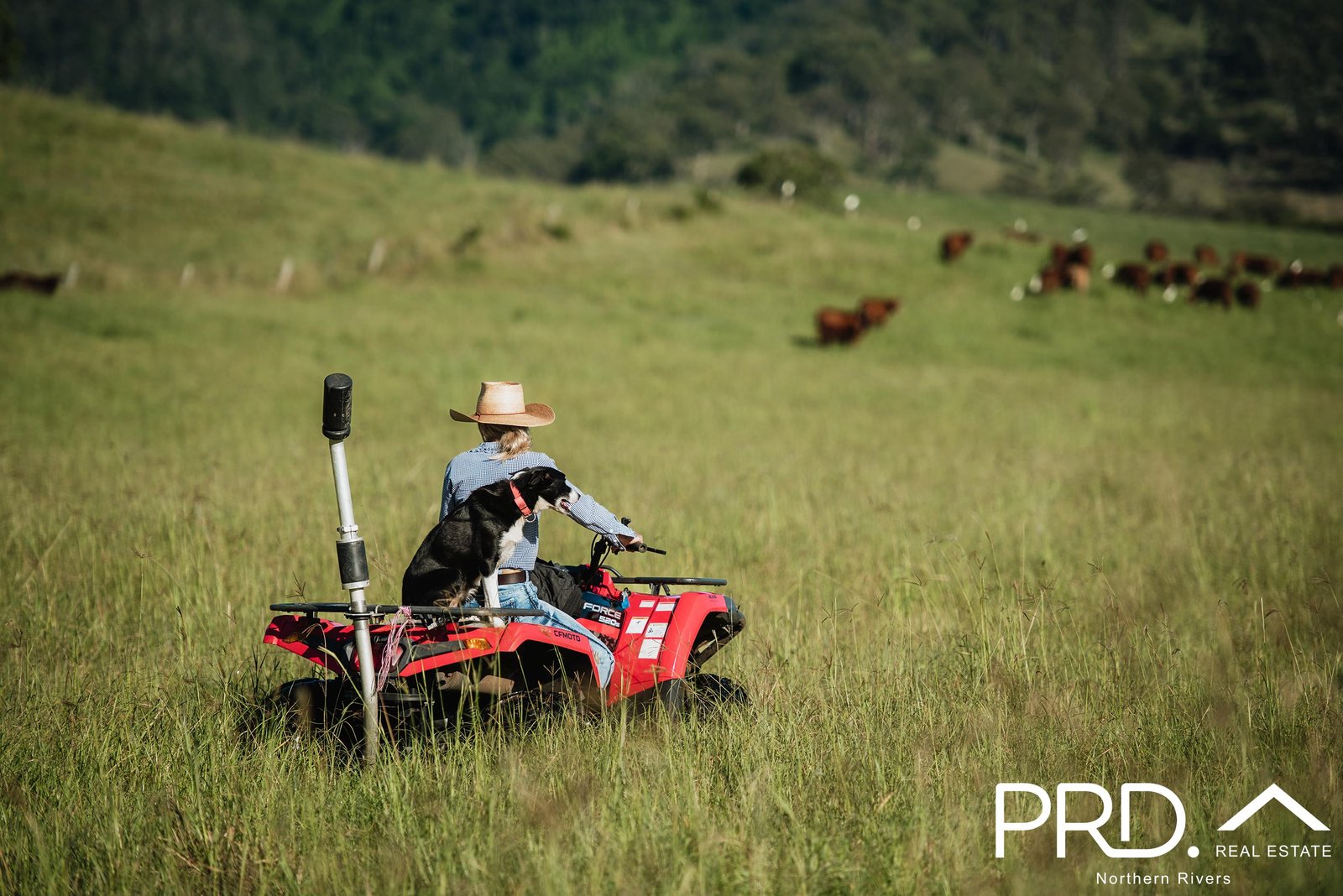 Lot 28, 46 Lynches Creek Road WIANGAREE 5