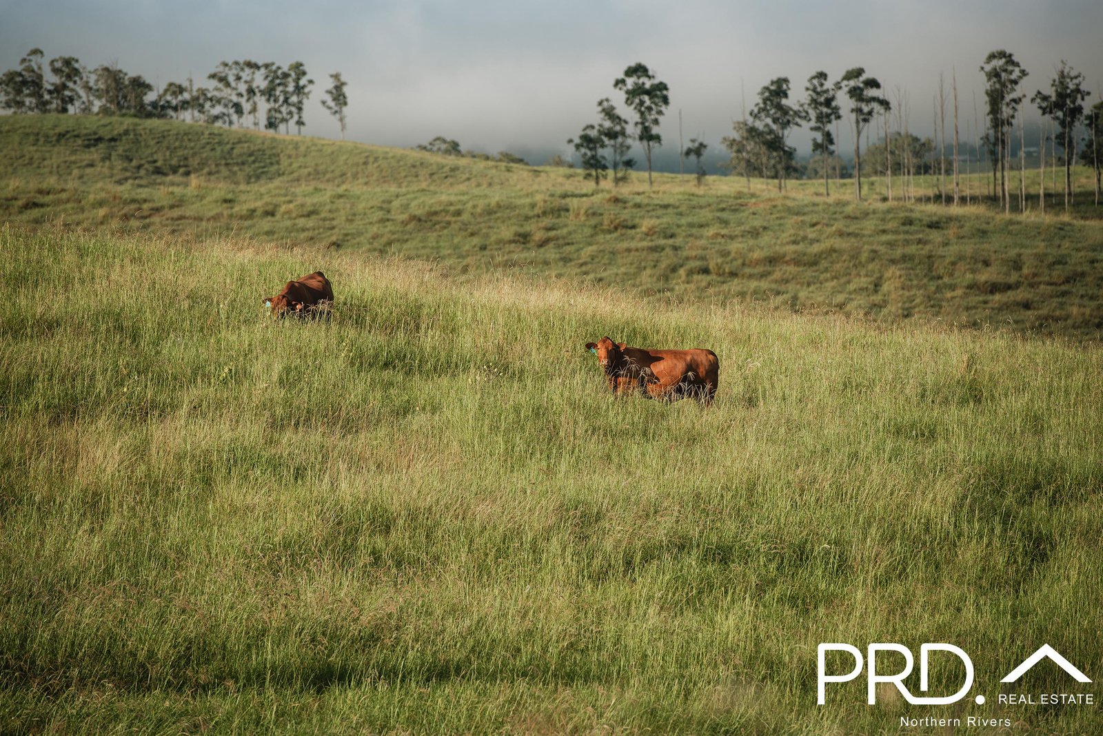 Lot 28, 46 Lynches Creek Road WIANGAREE 6
