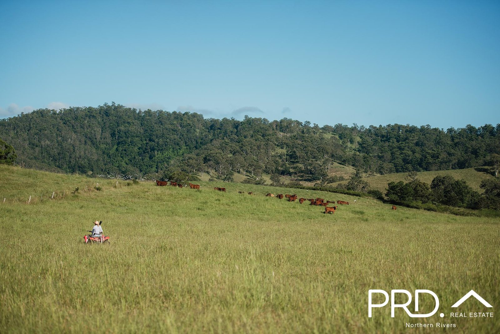 Lot 28, 46 Lynches Creek Road WIANGAREE 8