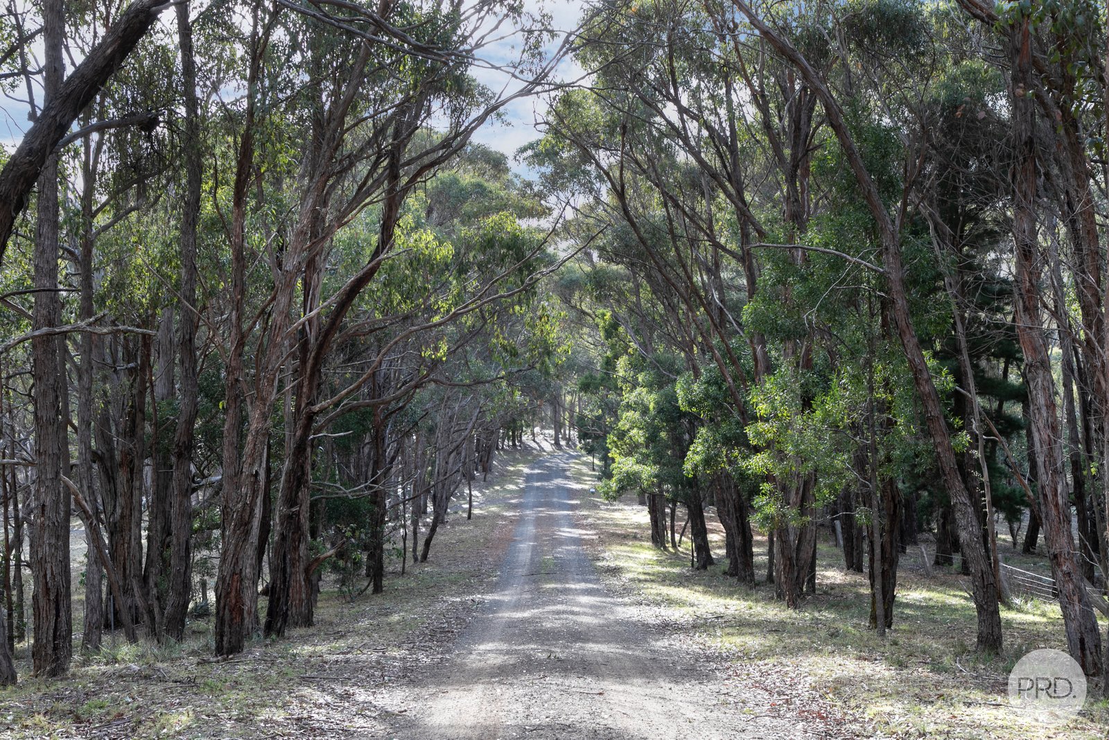 Lot 28 Lorikeet Court LAL LAL 2