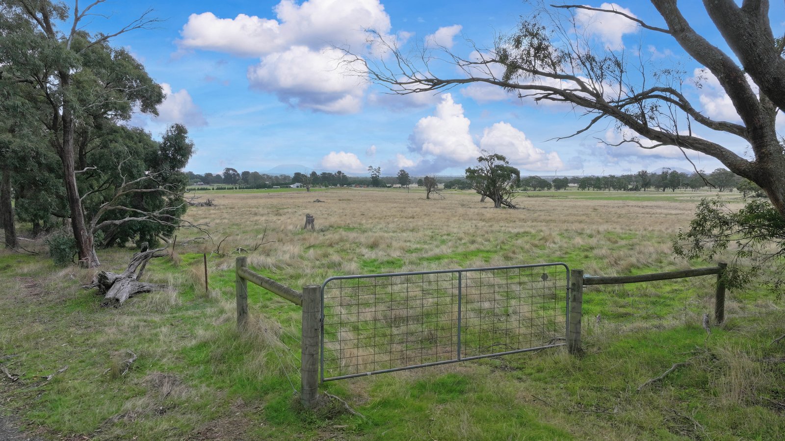 Gallery: Lot 28 Mills Road