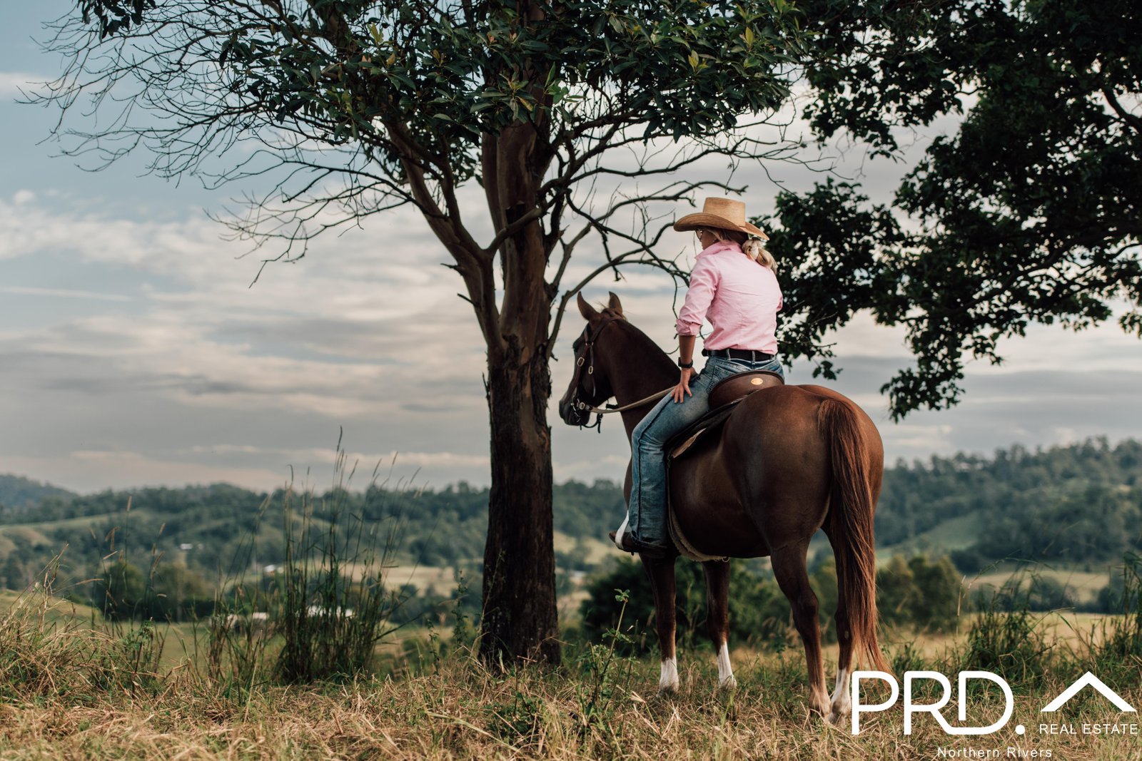 Lot 29, 46 Lynches Creek Road WIANGAREE 2