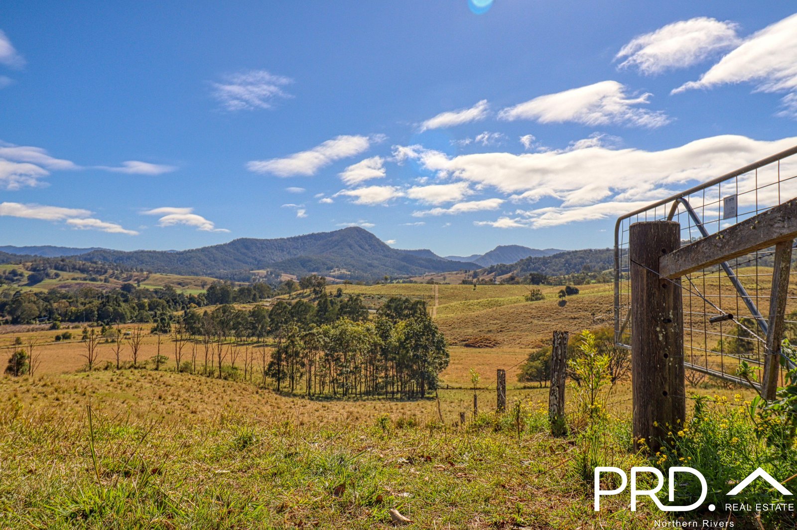 Lot 29, 46 Lynches Creek Road WIANGAREE 3