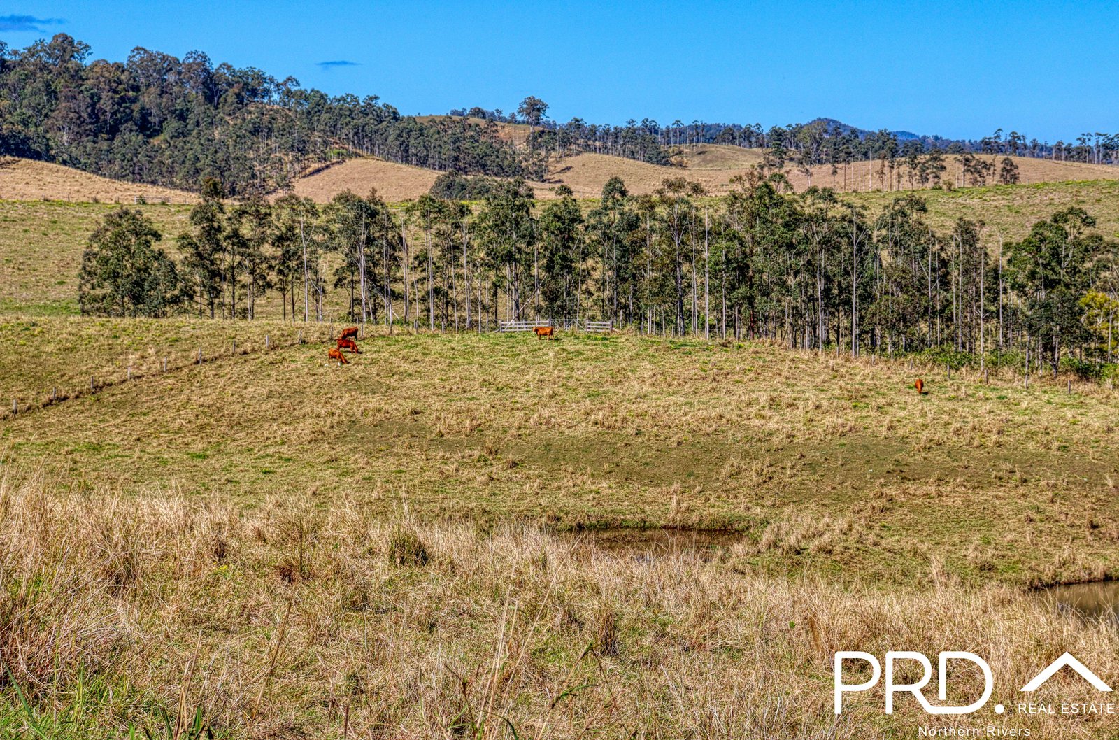 Lot 29, 46 Lynches Creek Road WIANGAREE 6