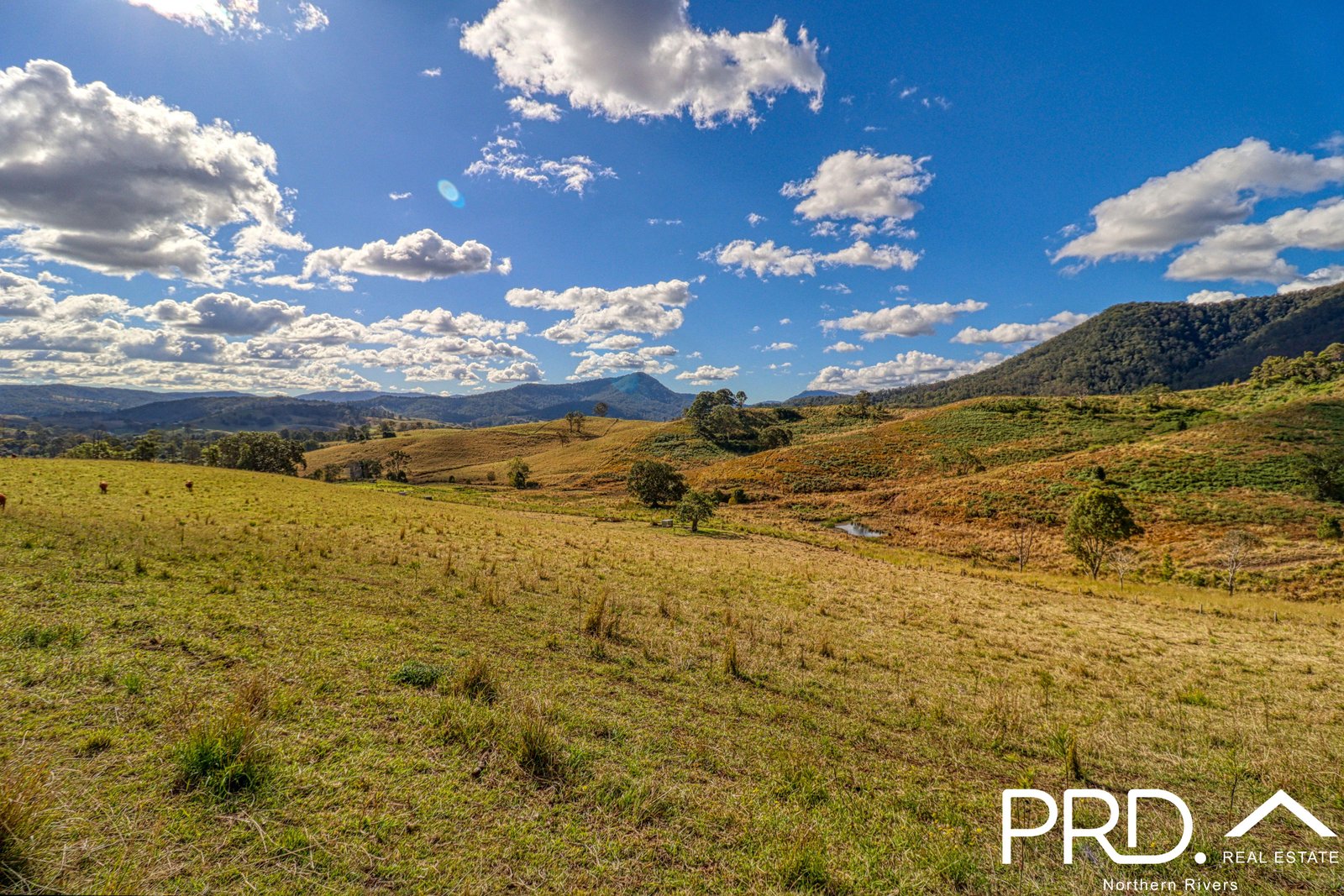 Lot 29, 46 Lynches Creek Road WIANGAREE 7