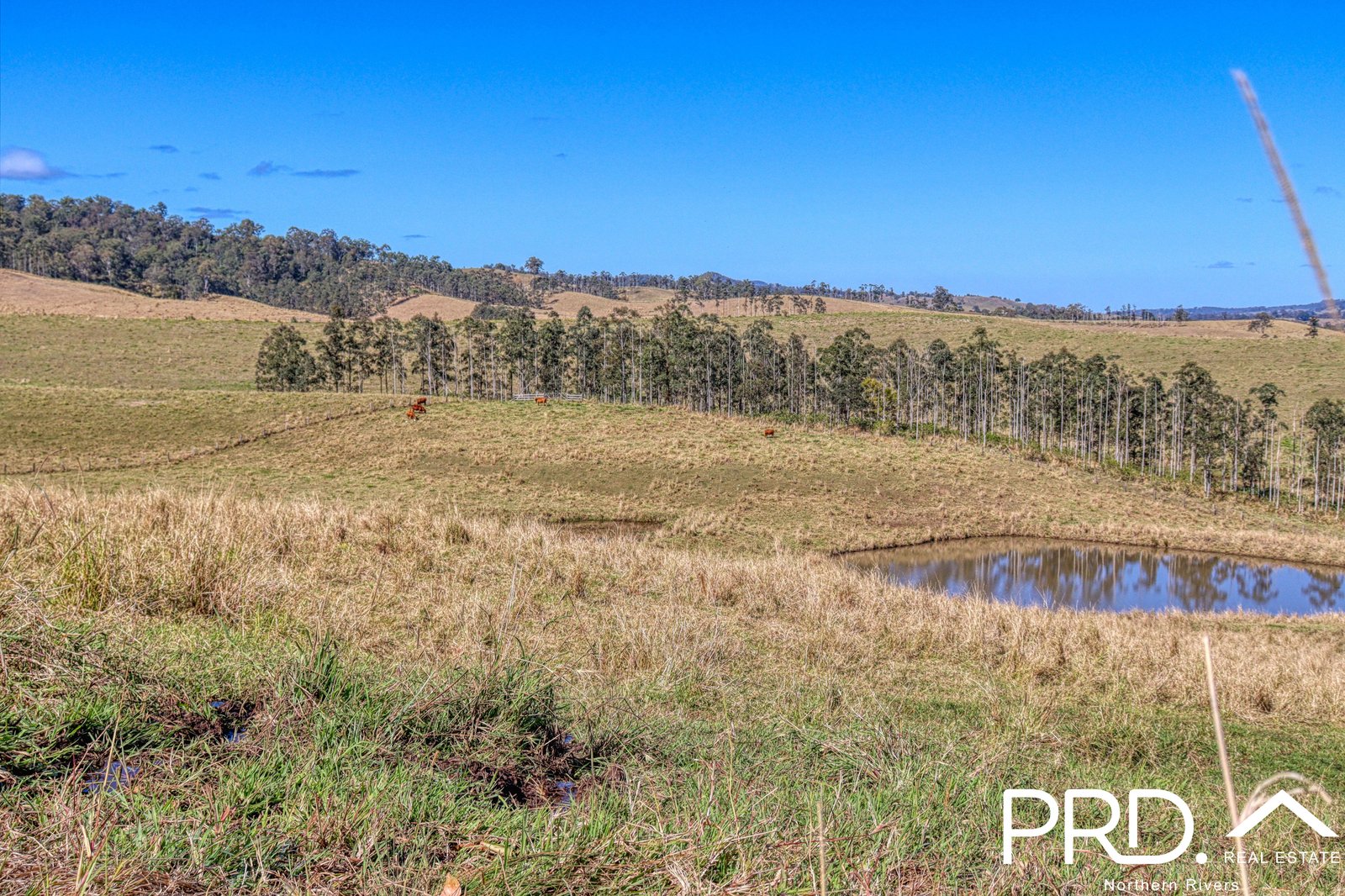 Lot 29, 46 Lynches Creek Road WIANGAREE 12