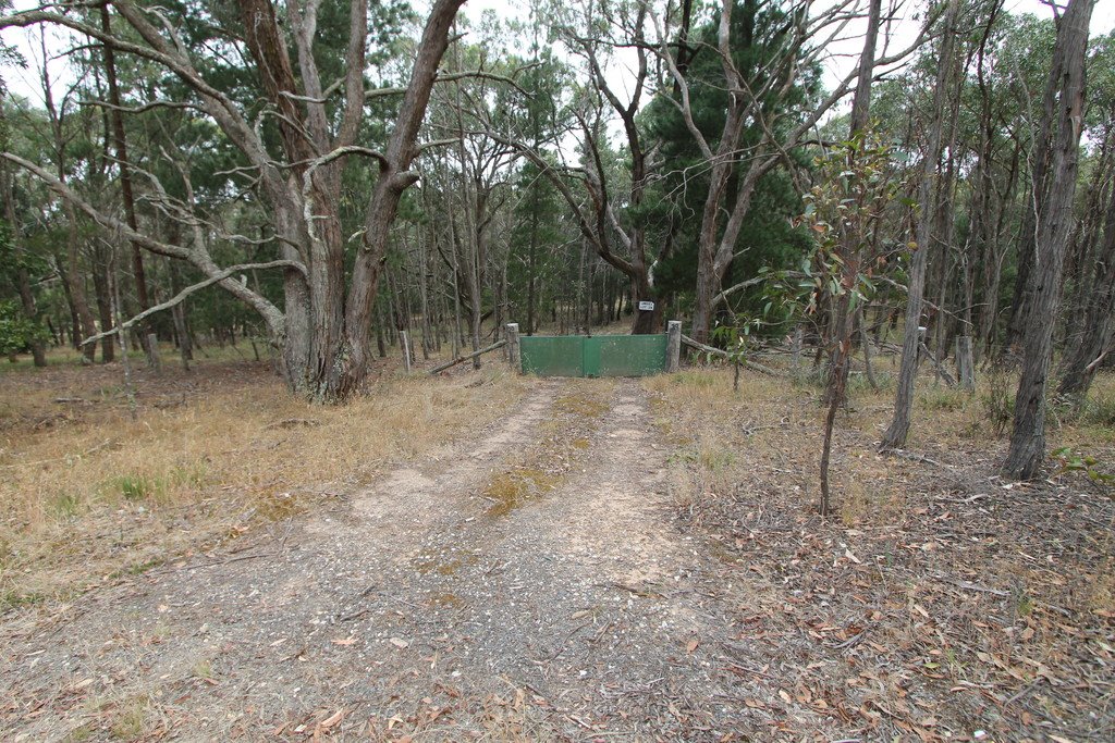 Lot 29 Lorikeet Court LAL LAL 2