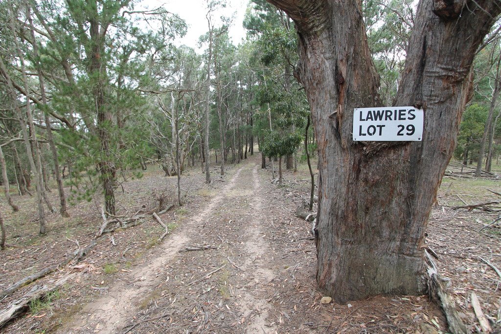 Lot 29 Lorikeet Court LAL LAL 3